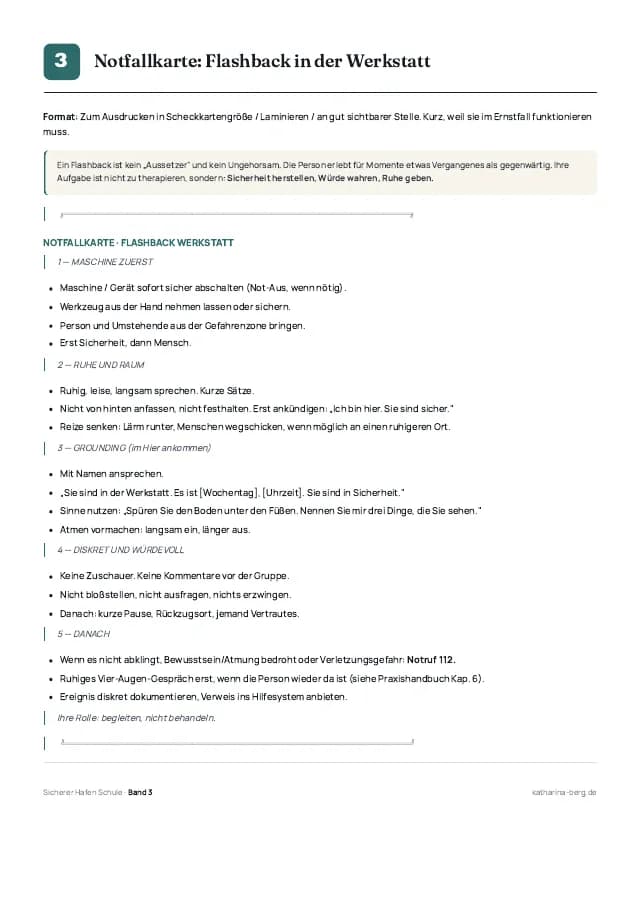 Beispielseite 1 aus den Vorlagen zu „Sicherer Hafen Schule – Berufsschule“